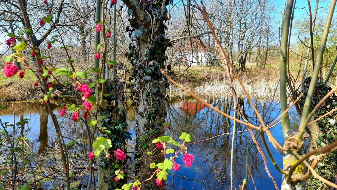 Bornholm Majalis Rønne Exterior foto